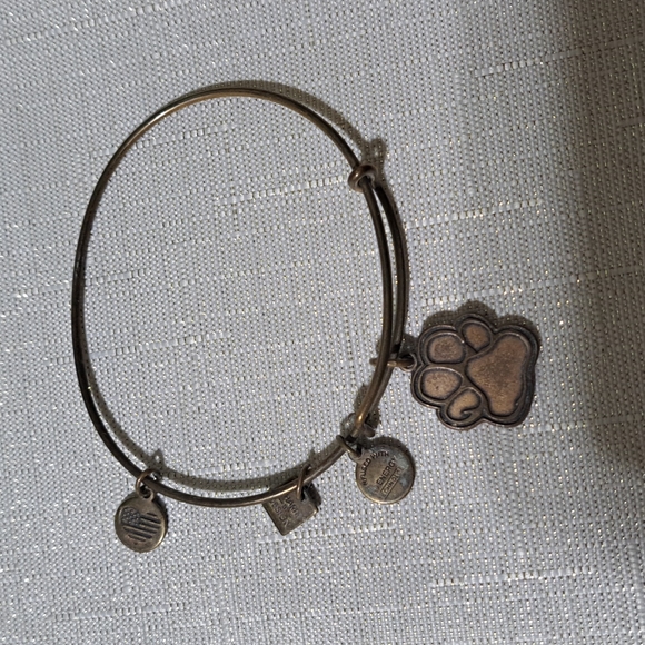 Alex And Ani Mein Hund Ist Valentinstag Armreif Armband Glänzend